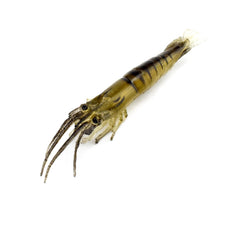 KTGCOZS DIY lure idea showcases easy customization for catching bigger fish