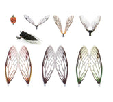 KTGCOZS fly wings pack 80 pre-cut stonefly wings for realistic fly tying.