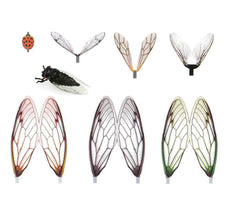 KTGCOZS realistic cicada wing pack for quick, ready-to-use fly tying.