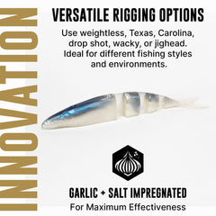 Lake Fork Live Magic Shad 3.5in 6-pack front view for versatile rigs
