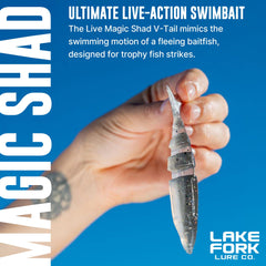 Lake Fork Live Magic Shad Smoked Pearl segmented body promotes lifelike swim