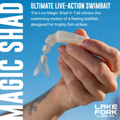 Lake Fork Live Magic Shad V-Tail in motion demonstrates natural swimming at slow retrieves