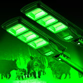 LANGY hog lights 2pack LED chips illuminate fields for night hunting