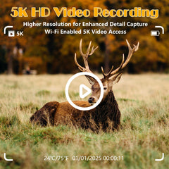 LANTOOCAM 5K video and 60MP stills capture vivid wildlife details.