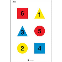 Law Enforcement DT-2C Target Version C in four colors for command training.