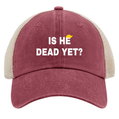 Liabiliies Is He Dead Yet hat back view with adjustable strap for a secure fit