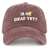 liabiliies Is He Dead Yet Hat front view in wine red for casual outdoor wear.