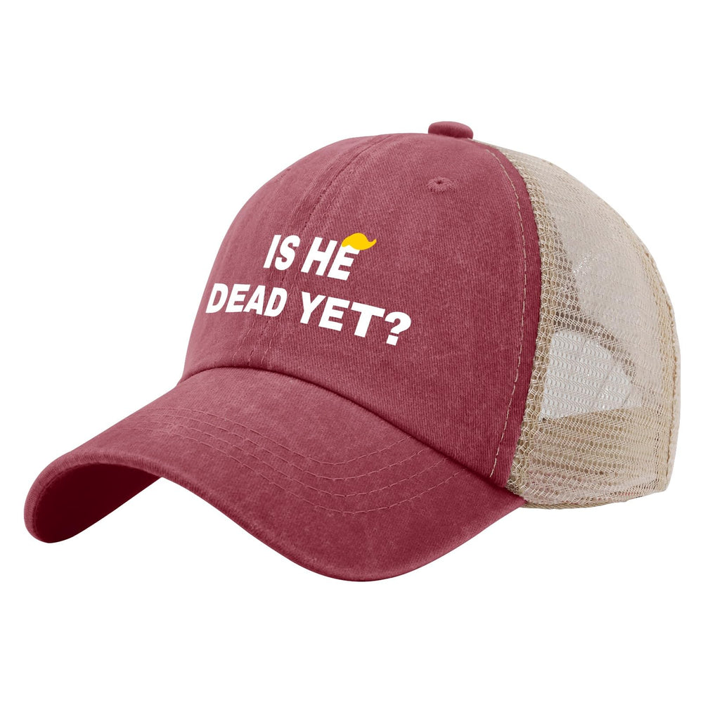Liabiliies Is He Dead Yet hat front view showing breathable mesh for everyday wear