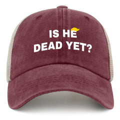 Liabiliies Is He Dead Yet hat side view ideal for casual outdoor activities