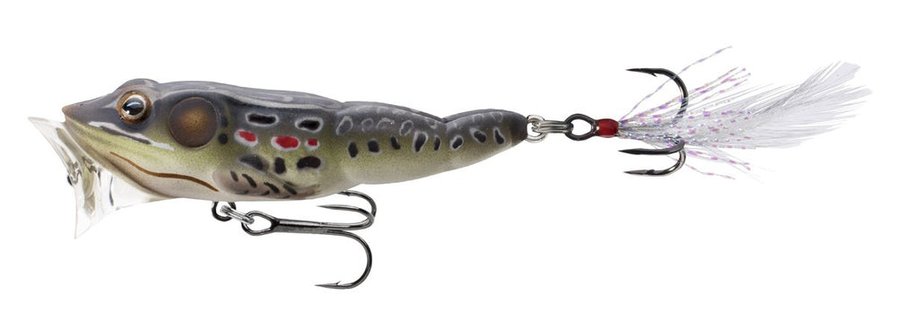 LIVE TARGET Livetarget Frog Popper surface action for bass fishing in open water.