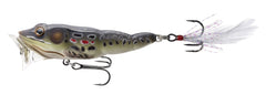 LIVE TARGET Livetarget Frog Popper surface action for bass fishing in open water.