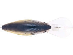 Livingston Lures Howeller Dream Master Classic Plus Clearwater Shad water action demonstrates responsive rattles and sound