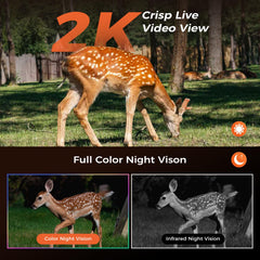 Liwan Cellular Trail Camera 360° PTZ for comprehensive wildlife coverage.