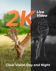 Loatos 0.2s trigger speed capturing fast wildlife moments.
