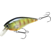 Close-up of LUCKY CRAFT Fat CB BDS3 crankbait showing body design
