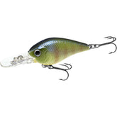 LUCKY CRAFT LC 0.5DD ~Silent~ (269 BE Gill) crankbait close-up