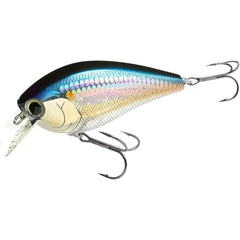 LUCKY CRAFT LC 4.5 Silent Squarebill Crankbait – American Shad color, front view