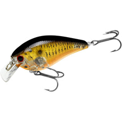 LUCKY CRAFT LC1-5 Silent Crankbait ghost golden black shad finish