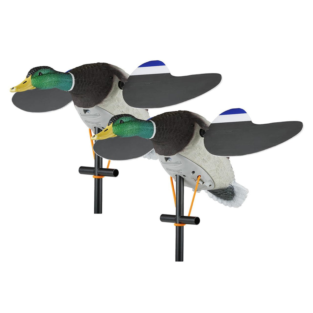 Lucky Duck Lucky Junior Drake Mallard Twin Pack decoys with ultra-realistic carvings for lifelike waterfowl setups