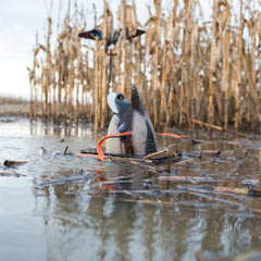 Lucky Duck Lucky Junior II 6V stake system with 42-inch stakes for stable setup.