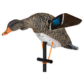 Lucky Duck spinning wings decoy in action attracting ducks at distance