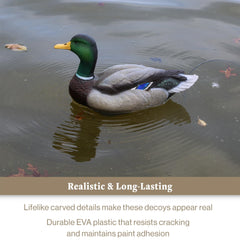 Lucky Duck gear-driven movement powered by four AA batteries for lasting action