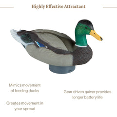 Lucky Duck image showing ripples on calm water to imitate natural movement