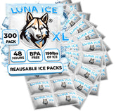 Luna Ice dry ice pack shipping XL keeps shipments cold without leaks