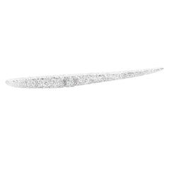 Lunker City Slug-Go 9-inch soft plastic bass lure for versatile freshwater and saltwater fishing