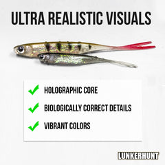 Lunkerhunt Bento Bait lure features split-tail action to entice strikes.