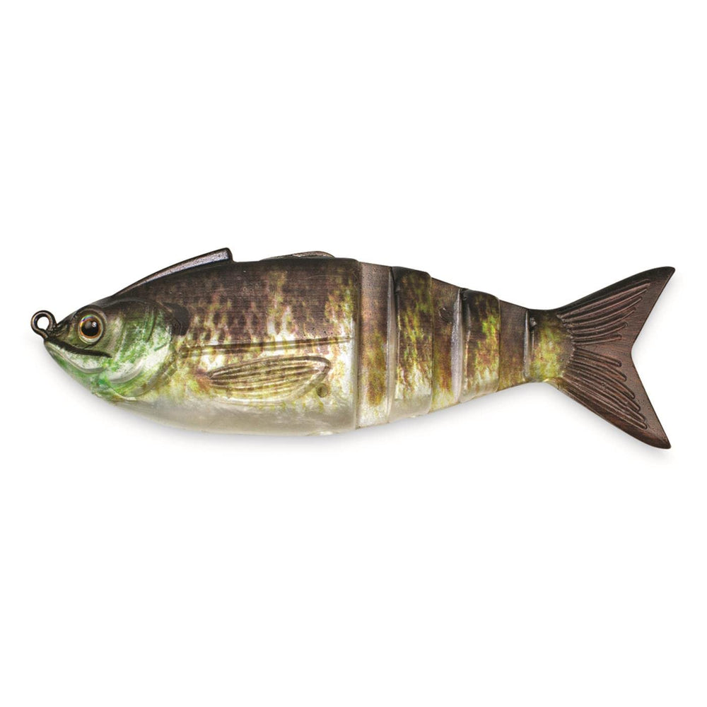 Lunkerhunt Gambit Gilly front view shows lifelike scales for versatile fishing.