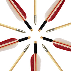 Luoyer packaging 12pc arrows keeps arrows organized for range days.
