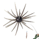 Lure Bait for Black Pits with sea urchin design attracts bass and catfish.