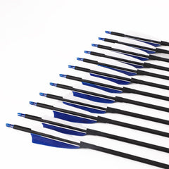 LWANO pack of 12 carbon arrows for training and target practice
