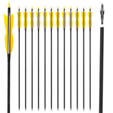 LWANO 31-inch carbon arrows bundle for practice and target shooting