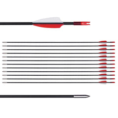 LWANO 31in training arrows with fiberglass shaft for safe beginner practice.