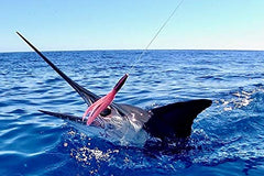 MagBay Lures purple-red color variation attracts pelagic predators across conditions.