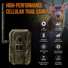 MagicEagle trail camera 2K video preview shows crisp, close-to-life footage during hunts.
