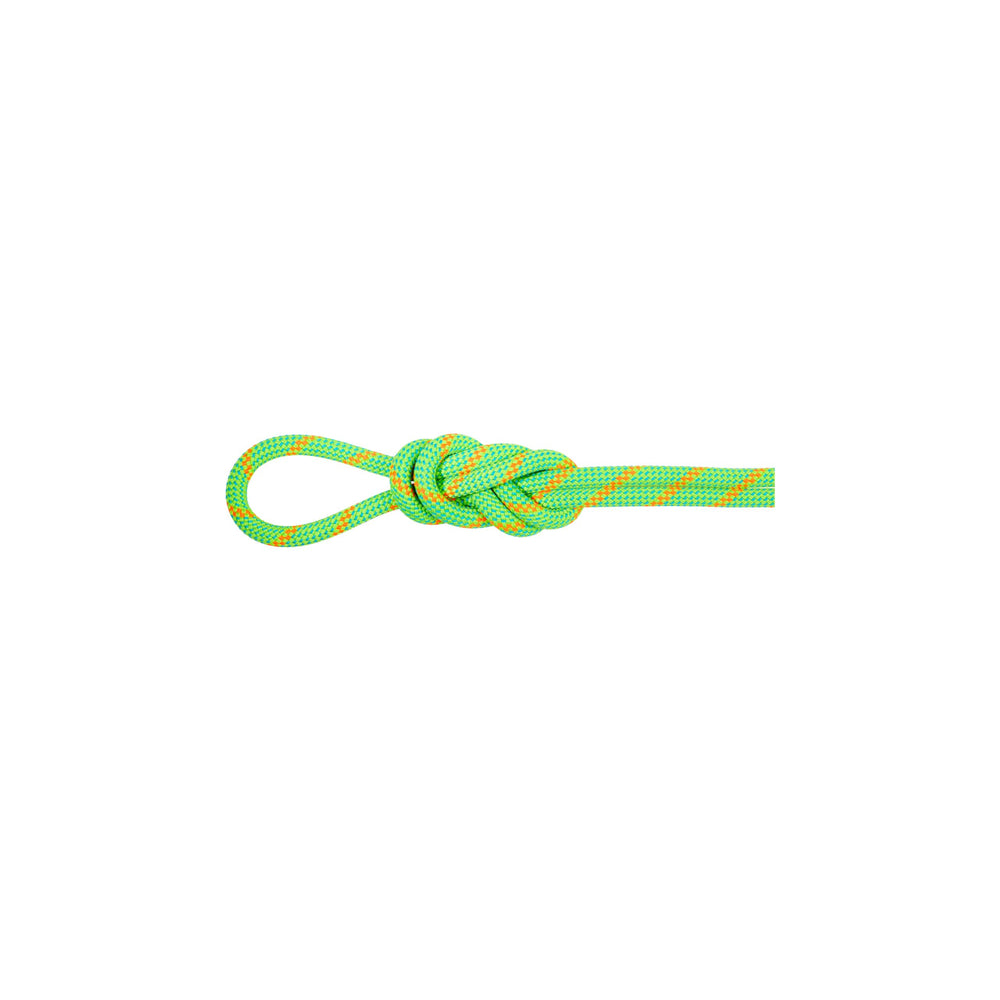 Mammut 8.0 Alpine Eco Dry Rope front view showing moisture-repellent finish