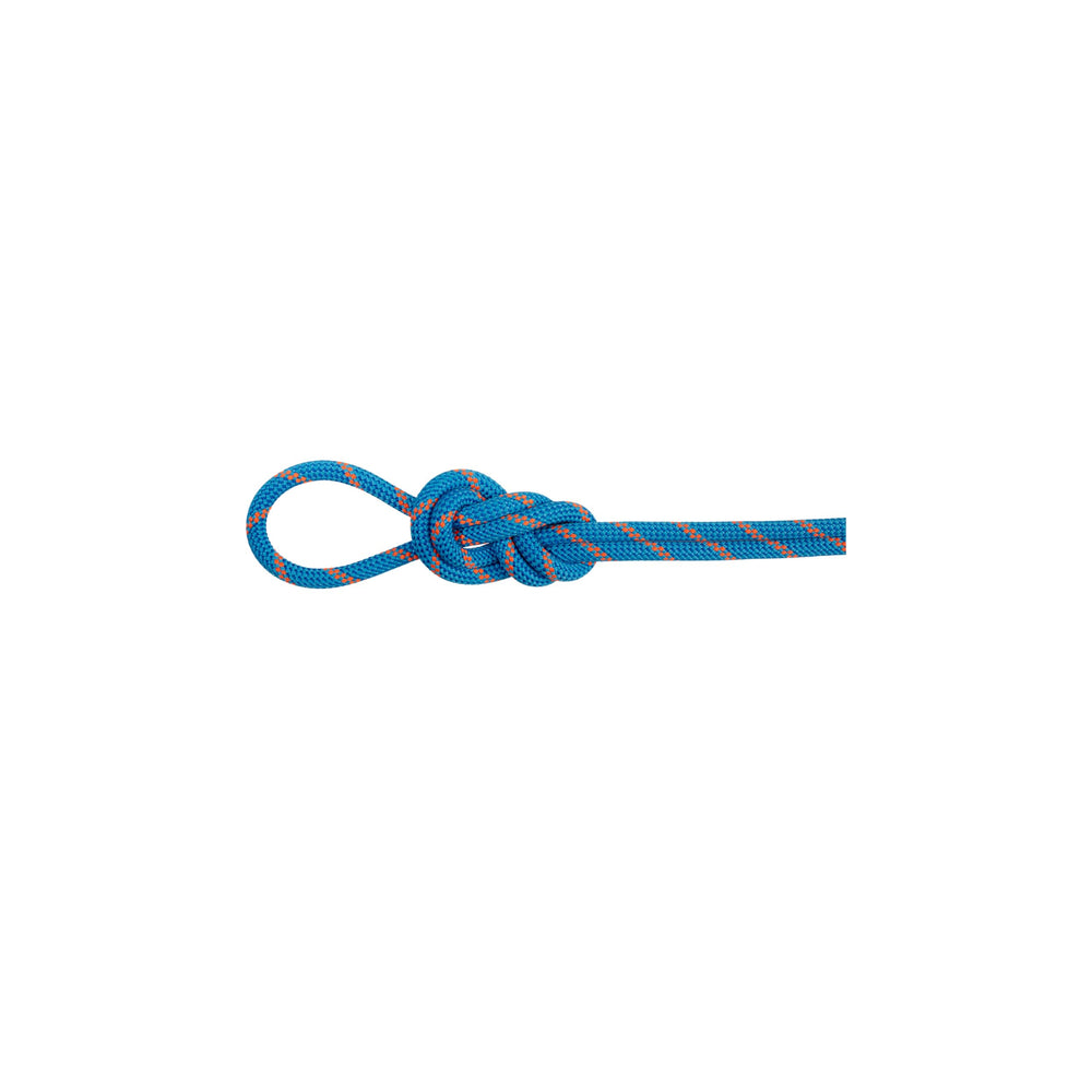 Mammut 8.0 Alpine Eco Dry Rope 30 m in action shows water-repellent performance for alpine routes.