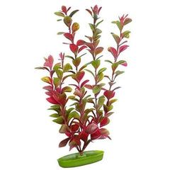 Marina Aquascaper red Ludwigia plant installed in an aquarium, dramatic color