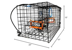 Trap showing Turtle Excluder Device (TED) for regulation