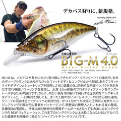Megabass Big-M 4.0 Magnum demonstrates 13 ft deep diving capability for deep-water anglers.