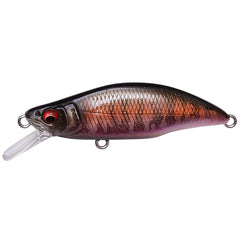Megabass Megabus GH64 Humpback in water with autumn halation to entice trout