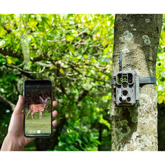 Meidase P200 night vision image for discreet wildlife observation