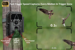 Meidase P70 trigger speed enables fast motion capture of running deer.