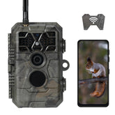 Meidase P80 Pro WiFi setup demonstrates quick mobile photo transfer for easy sharing.