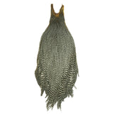 Metz Mets cock neck fly material in grizzly color for precise dry-fly presentation.