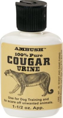 Moccasin Joe Cougar Urine bottle, authentic predator lure for wildlife observation