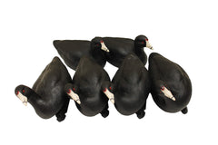 MOJO Outdoors Coot Confidence decoy array shows static coots in a natural spread.